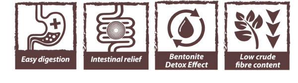 Gastrointestinal : Nutrition Humide Spécialisée pour Chats - Image 2