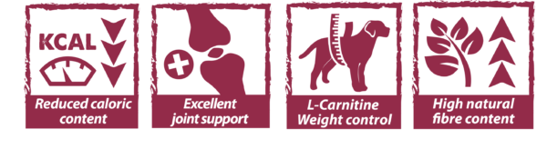 Obesity Control : La Nutrition Spécialisée pour la Gestion du Poids - Image 2